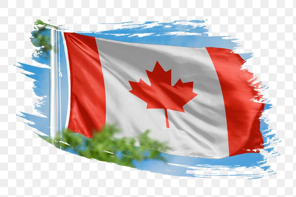 Canada flag png sticker, brush stroke design, transparent background