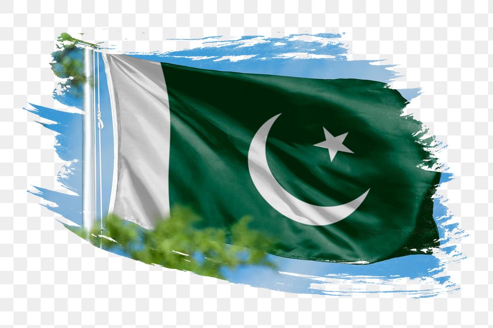 Pakistan flag png sticker, brush stroke design, transparent background