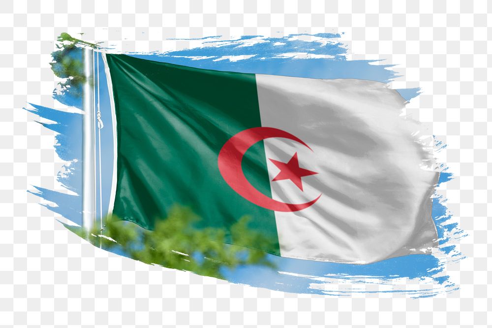 Algeria flag png sticker, brush stroke design, transparent background
