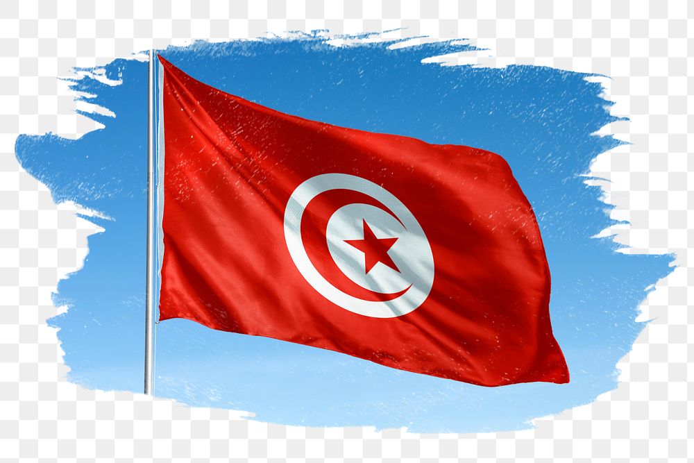 Tunisia png flag brush stroke sticker, transparent background