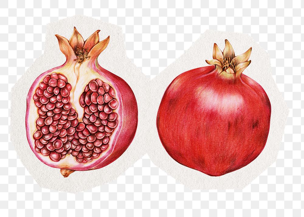 Pomegranate png collage element sticker, transparent background