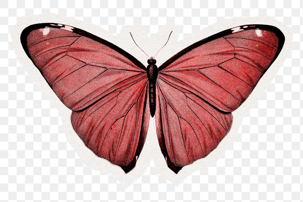 Red butterfly png sticker, beautiful collage element in transparent background