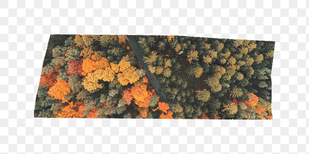 PNG Autumn forest washi tape, journal sticker element, transparent background