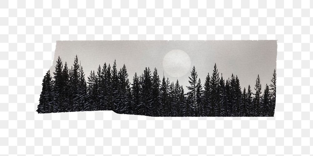 PNG forest washi tape, black and white sticker element, transparent background