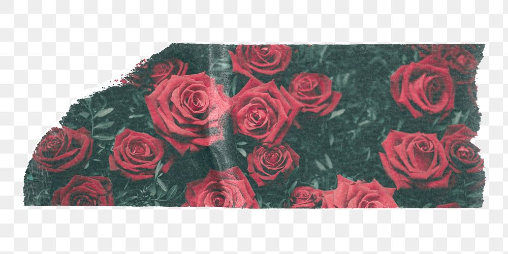 PNG red roses washi tape, stationery collage element, transparent background