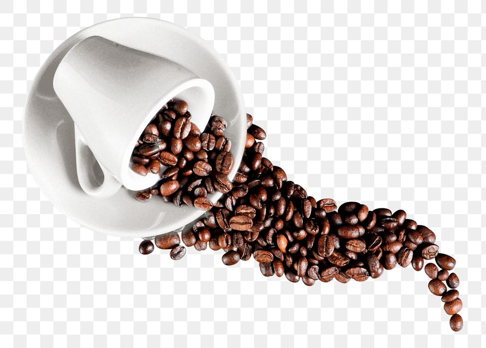 Coffee beans png cup  sticker, food & drink transparent background