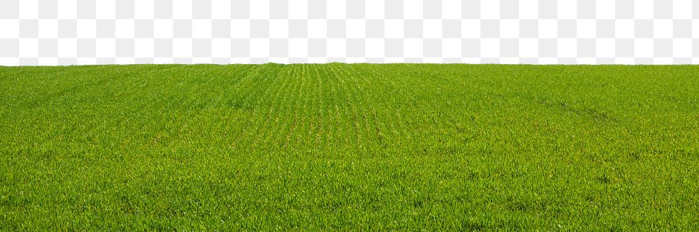 Green grass field png border, transparent background