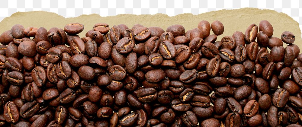 Coffee beans png border sticker, food torn paper, transparent background