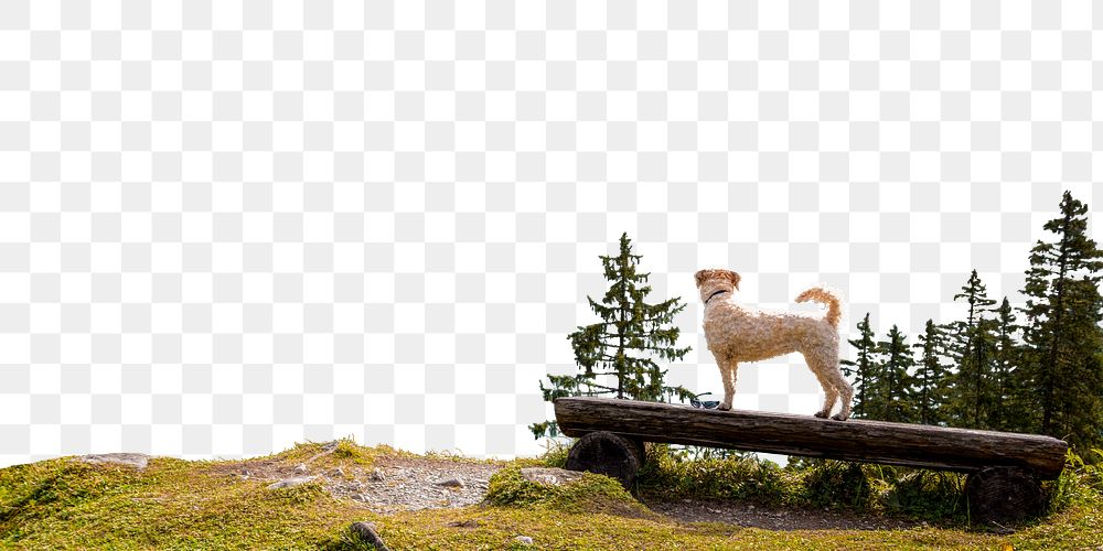 Dog in nature png border, transparent background