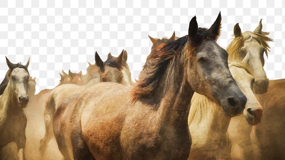 Horses png border sticker, animal, transparent background