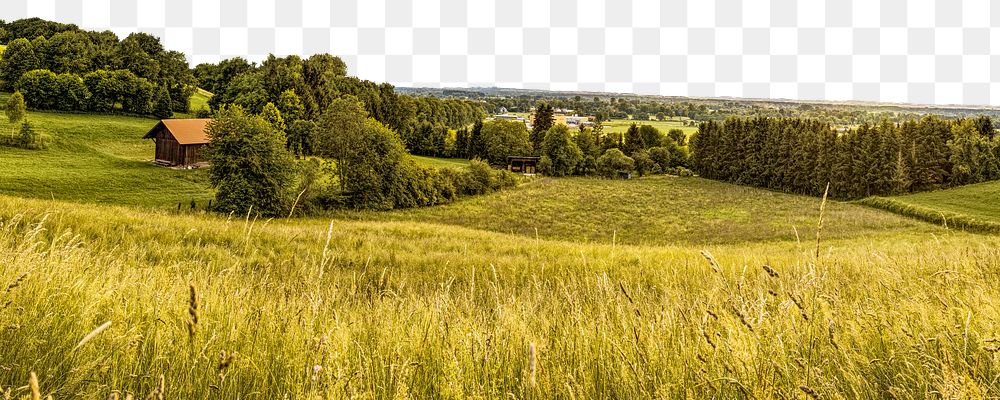 Wheat field png border, transparent background, agriculture