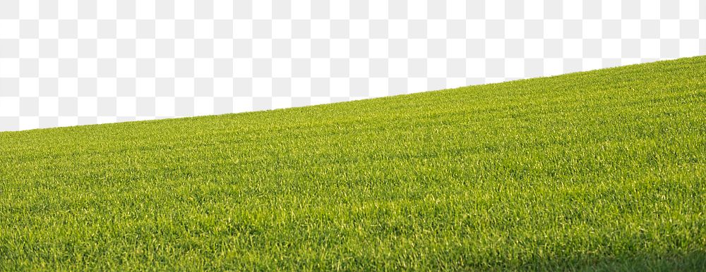 Green grass field png border, transparent background