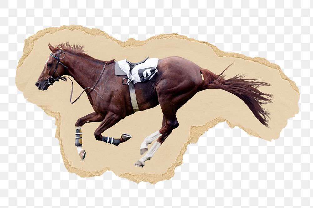 Race horse png sticker, ripped paper, transparent background