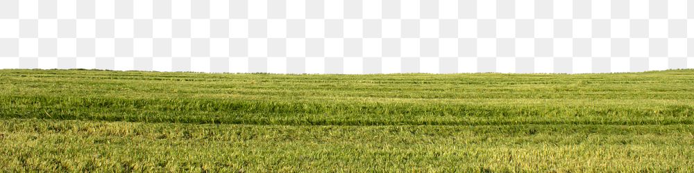 Green field png border, transparent background