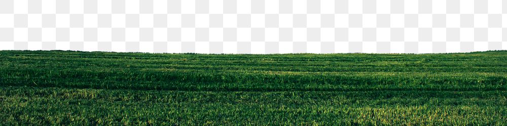 Green field png border, transparent background