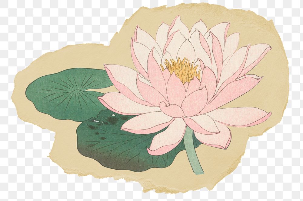Pink lotus flower png sticker, ripped paper, transparent background