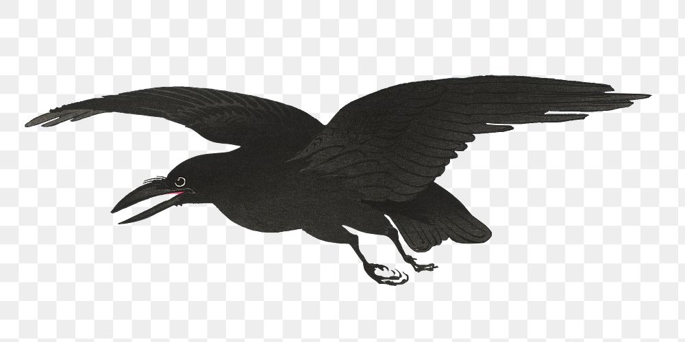 Png Ohara Koson's Crow sticker, bird vintage illustration, transparent background