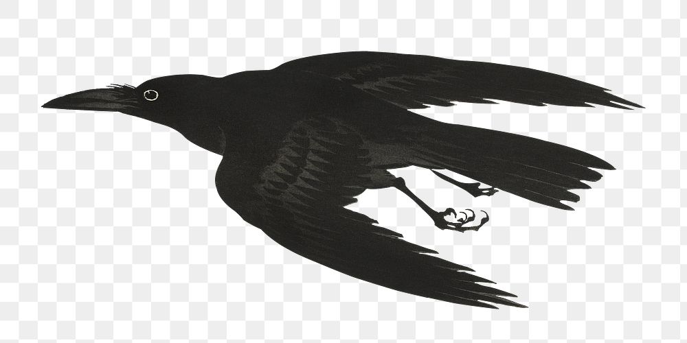Png Ohara Koson's Crow sticker, black bird vintage illustration, transparent background