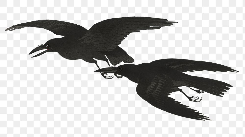 Png Ohara Koson's Crow sticker, bird vintage illustration, transparent background