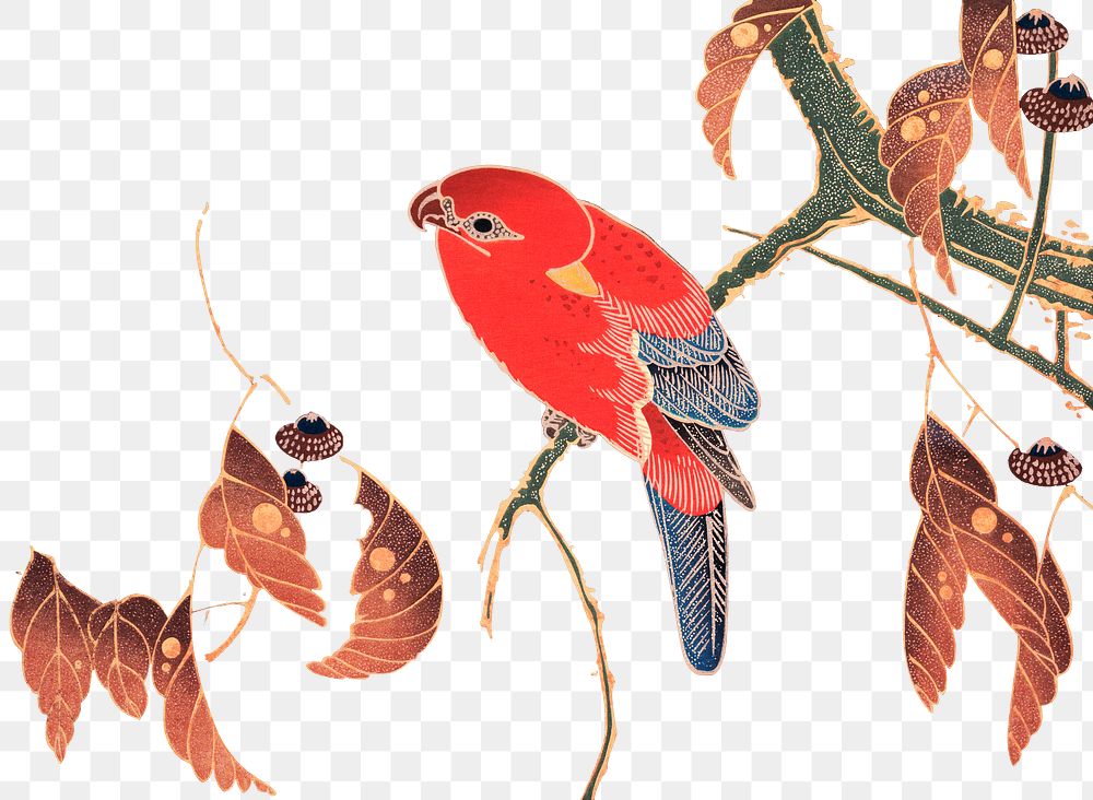 Png red parrot sticker, Ito Jakuchu's vintage illustration, transparent background