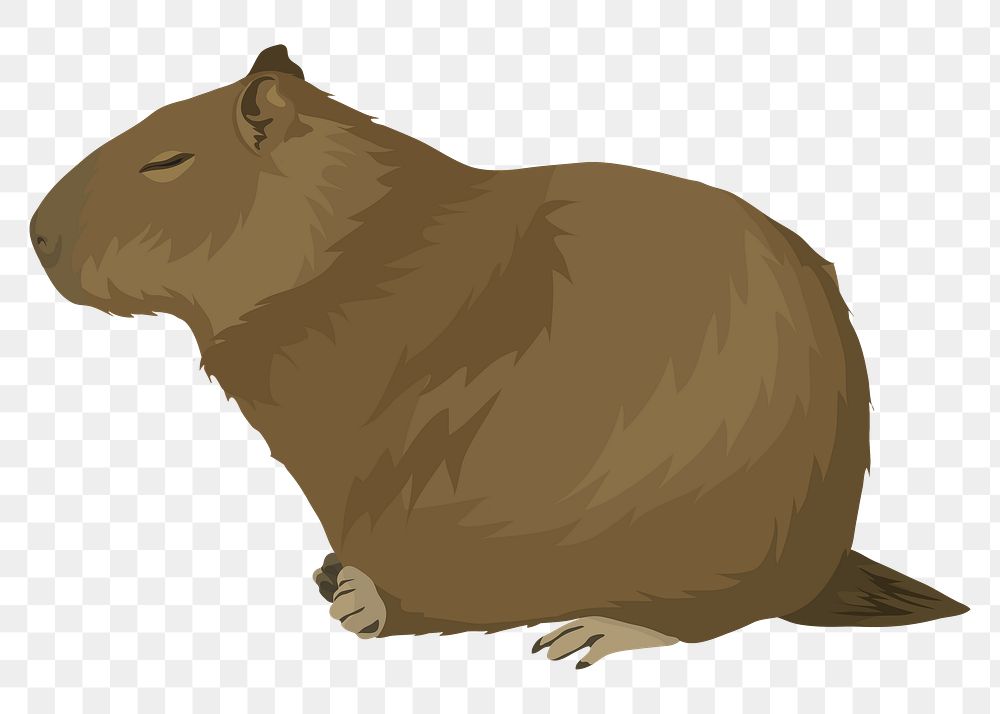 Beaver png illustration, sleeping animal sticker, transparent background