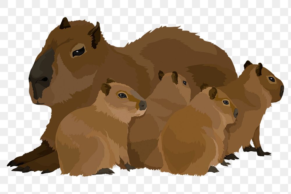 PNG water hog family, mother and babies, sticker in transparent background
