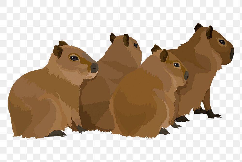 PNG water hogs, group of baby animal illustration sticker, transparent background
