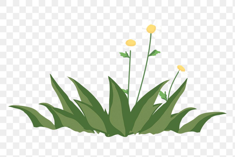 Flower png, on a patch of grass, nature illustration sticker, transparent background