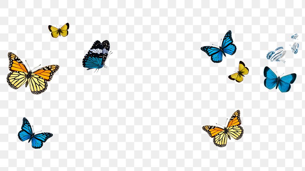 Butterfly overlay png sticker, transparent background
