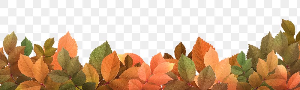Autumn leaf png border sticker, transparent background