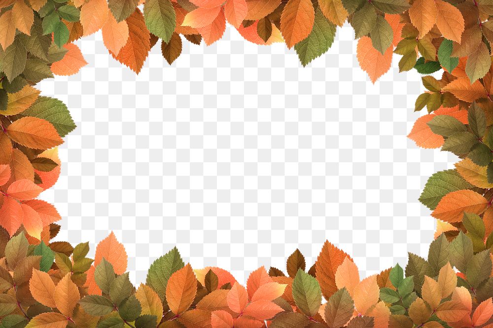 Autumn leaf png frame sticker, transparent background