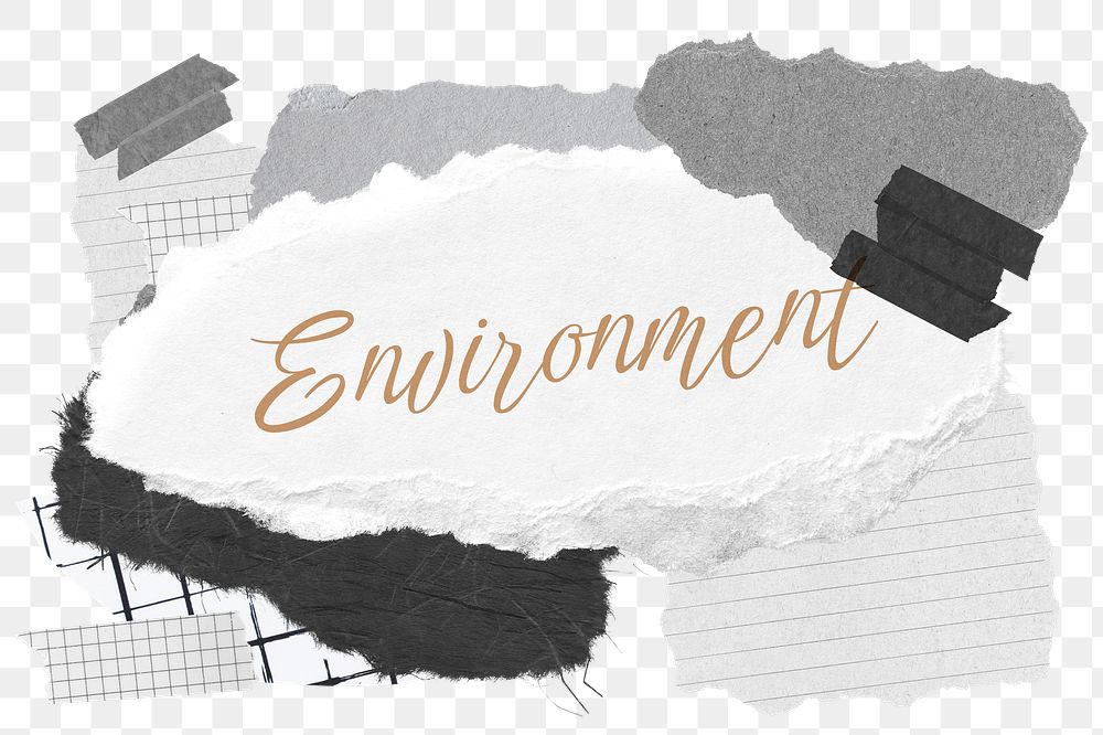 Environment png word sticker typography, aesthetic paper collage, transparent background