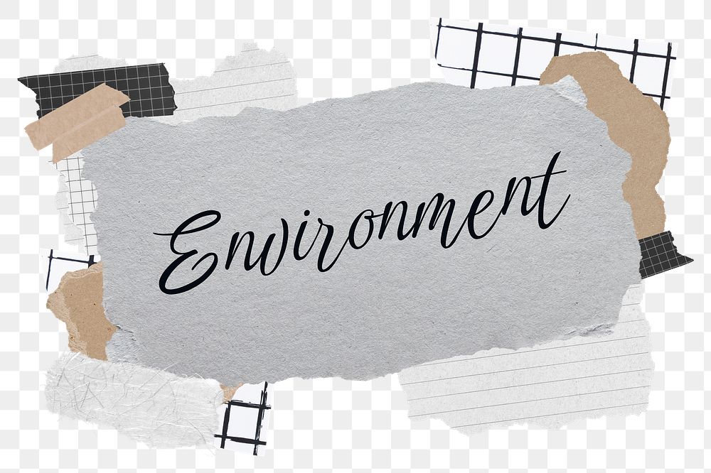 Environment png word sticker typography, aesthetic paper collage, transparent background