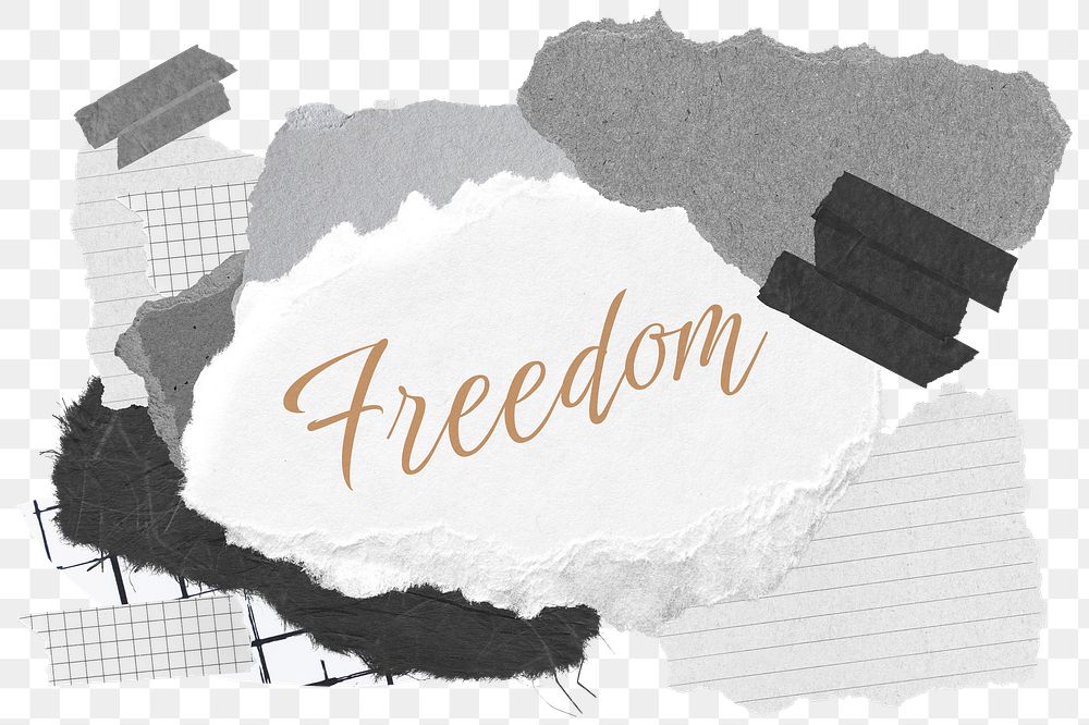 Freedom png word sticker typography, aesthetic paper collage, transparent background