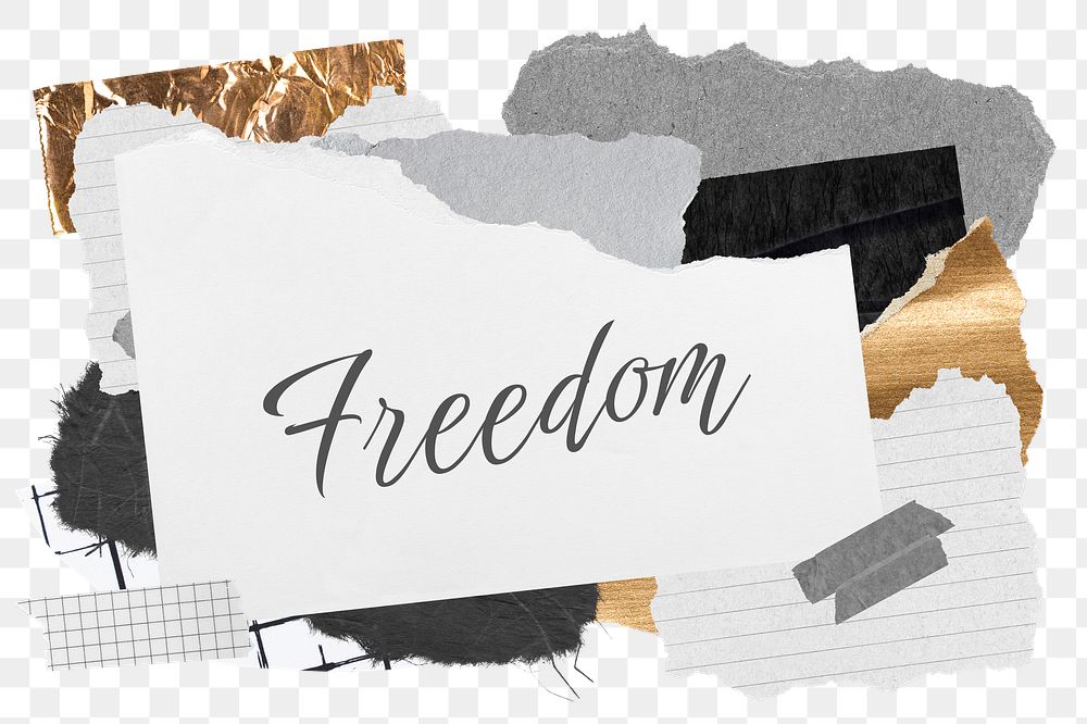 Freedom png word sticker typography, aesthetic paper collage, transparent background