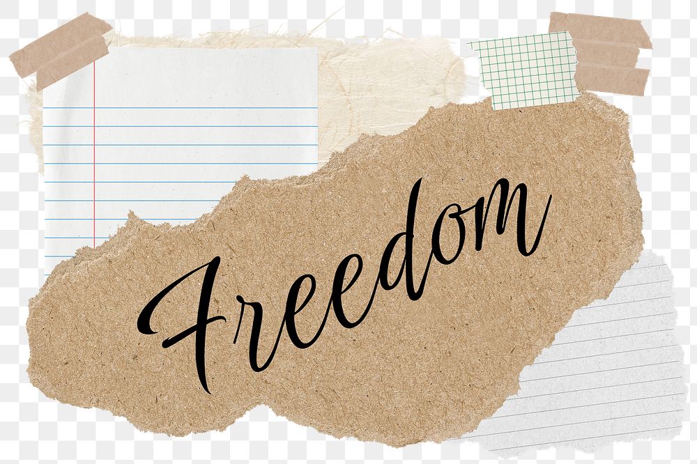 Freedom png word sticker typography, aesthetic paper collage, transparent background