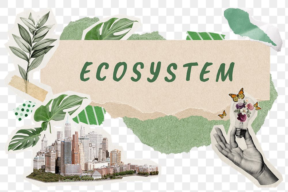 Ecosystem png word sticker typography, environment aesthetic paper collage, transparent background