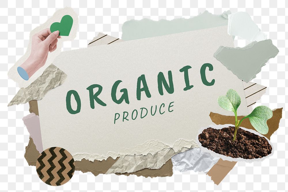 Organic produce png word sticker typography, environment aesthetic paper collage, transparent background