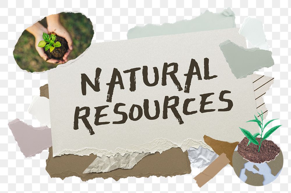 Natural resources png word sticker typography, environment aesthetic paper collage, transparent background