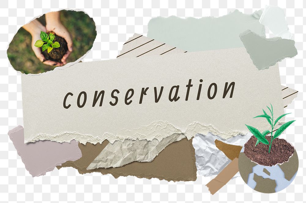 Conservation png word sticker typography, environment aesthetic paper collage, transparent background
