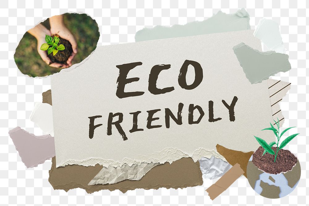 Eco friendly png word sticker typography, environment aesthetic paper collage, transparent background