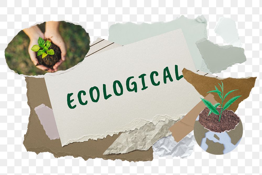 Ecological png word sticker typography, environment aesthetic paper collage, transparent background