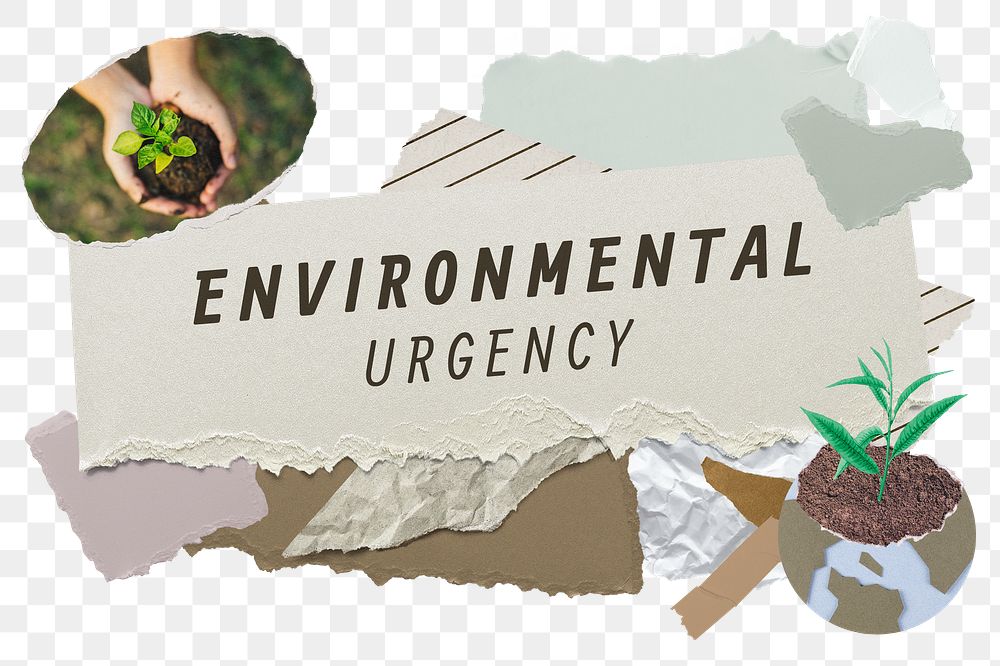 Environmental urgency png word sticker typography, green aesthetic paper collage, transparent background