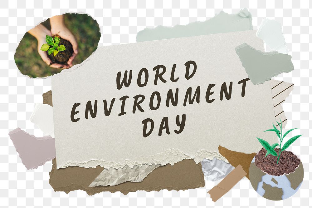 World Environment Day png word sticker typography, green aesthetic paper collage, transparent background