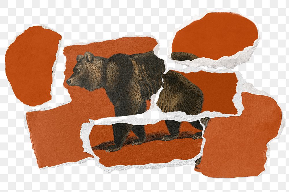 Bear png sticker, paper collage design, transparent background