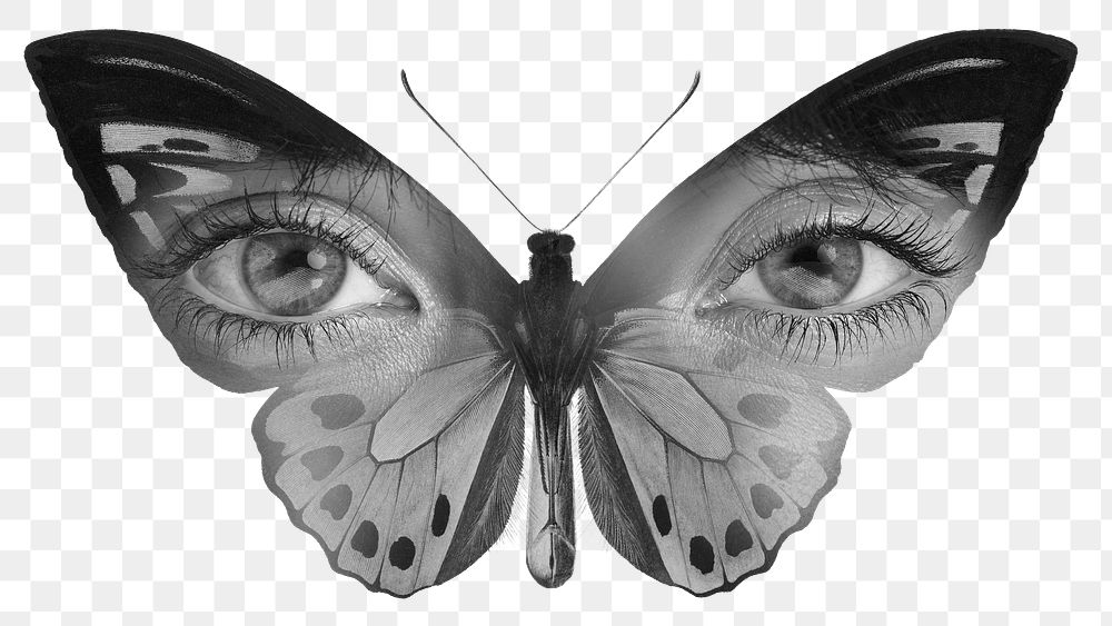 Surreal butterfly png sticker, human eyes, transparent background