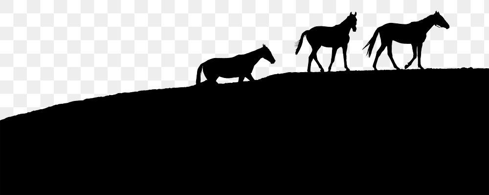 Horses silhouette  png border, transparent background