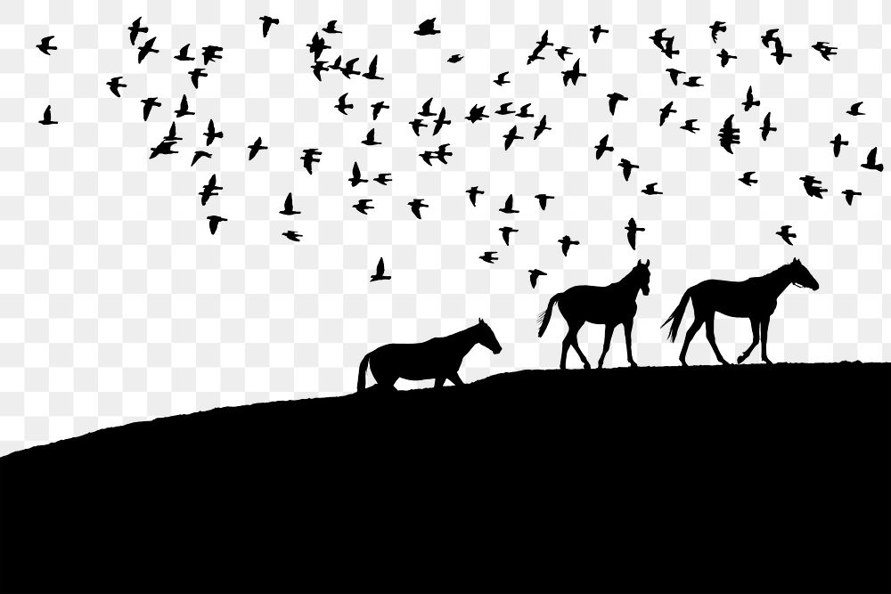 Horses silhouette png border, transparent background