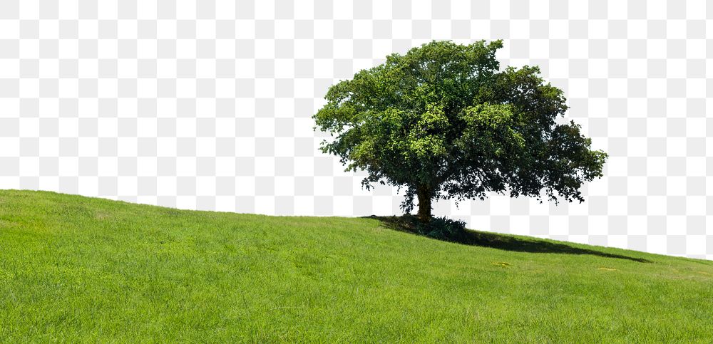 Green tree hill png border, transparent background