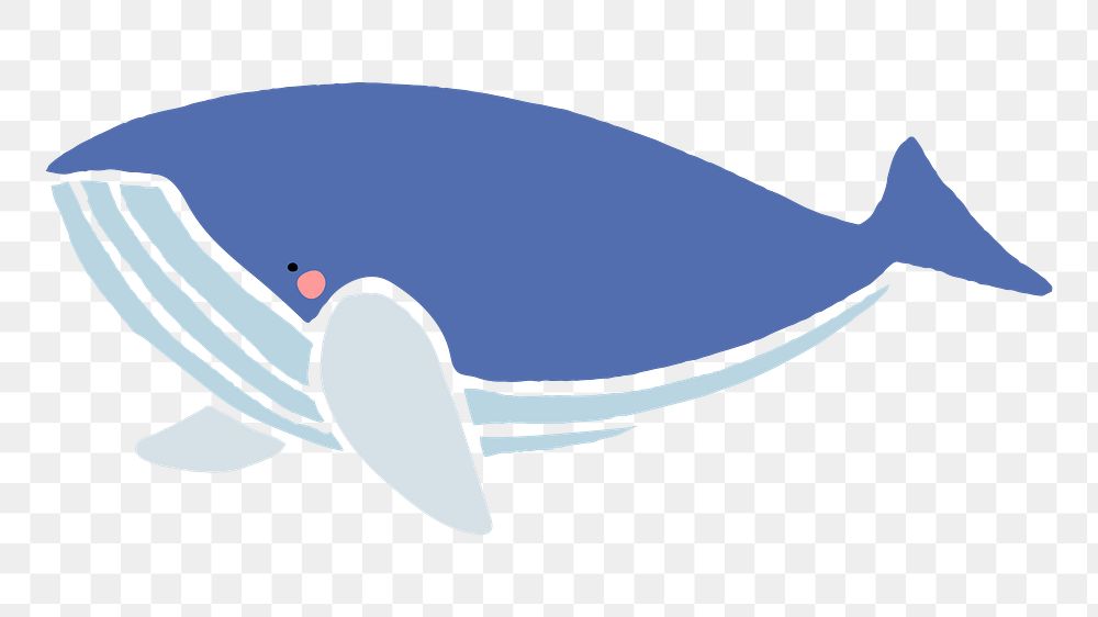 Whale png animal sticker, cute marine life, transparent background